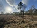 8.497 Fm-1130 Property Photo 9