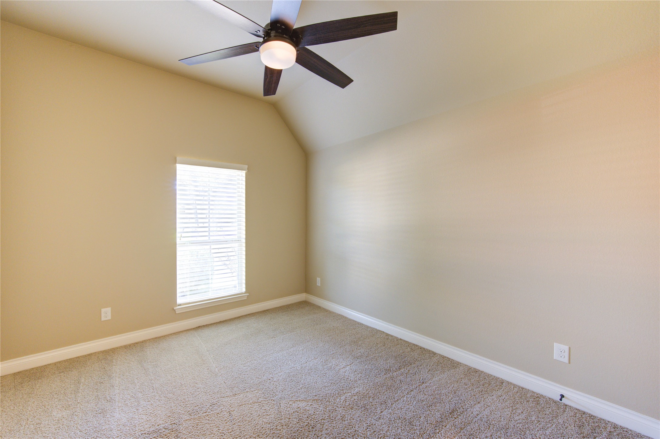 1810 Callaway Cove Court Property Photo 24