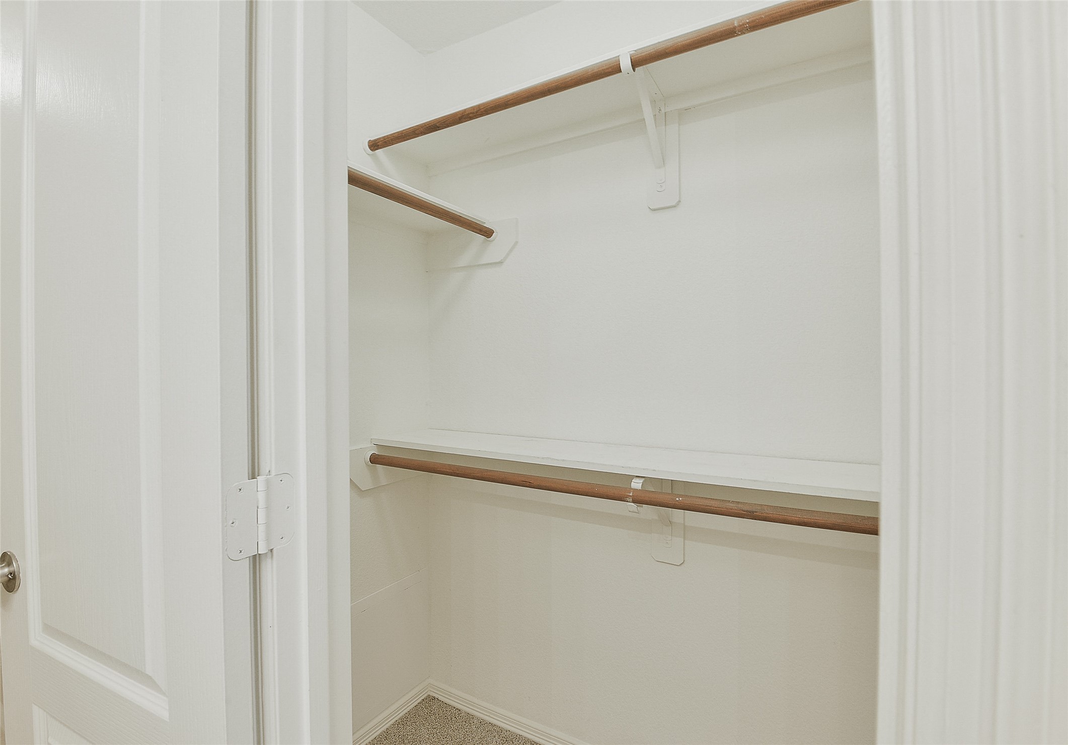24415 Strong Pine Drive Property Photo 22