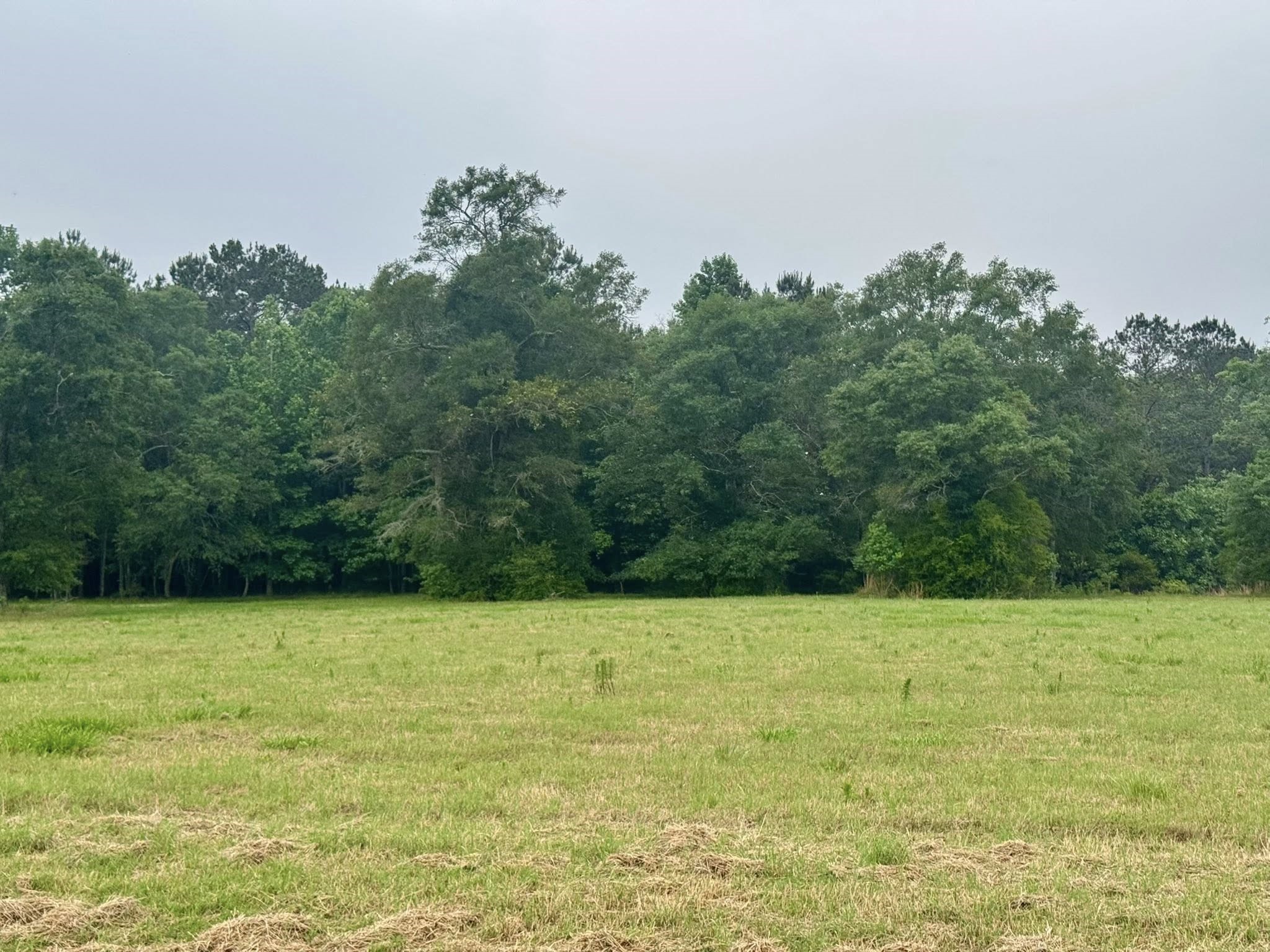 Lot 131 S Green Valley Trail Property Photo 5