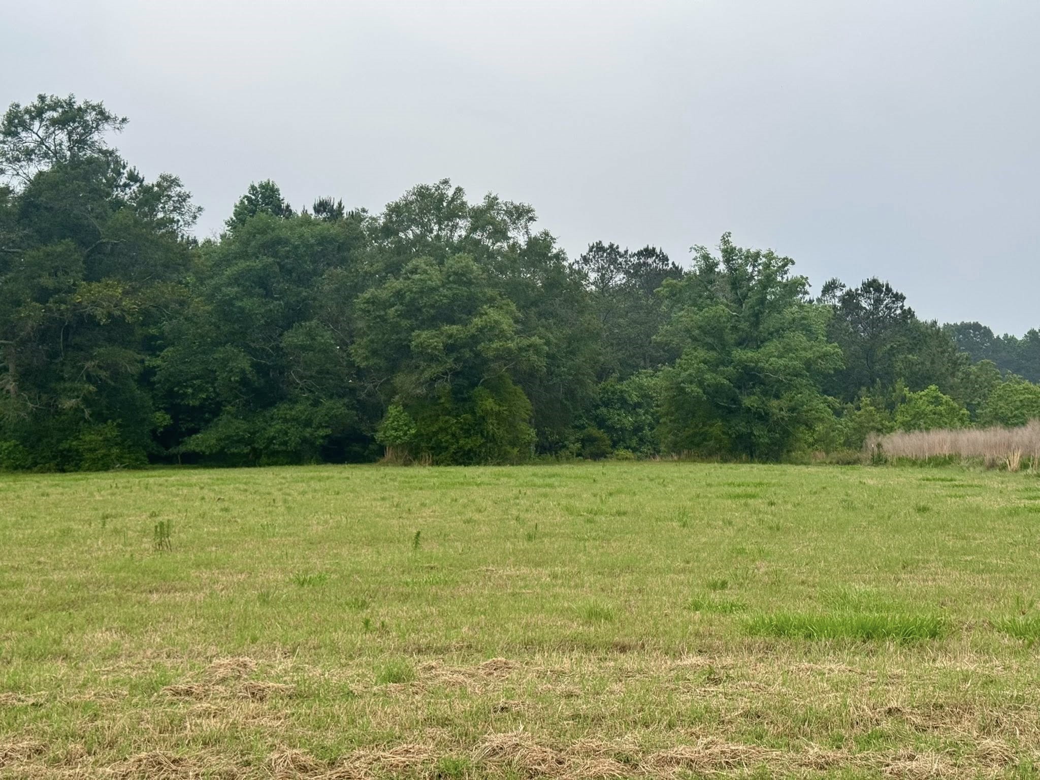 Lot 131 S Green Valley Trail Property Photo 6