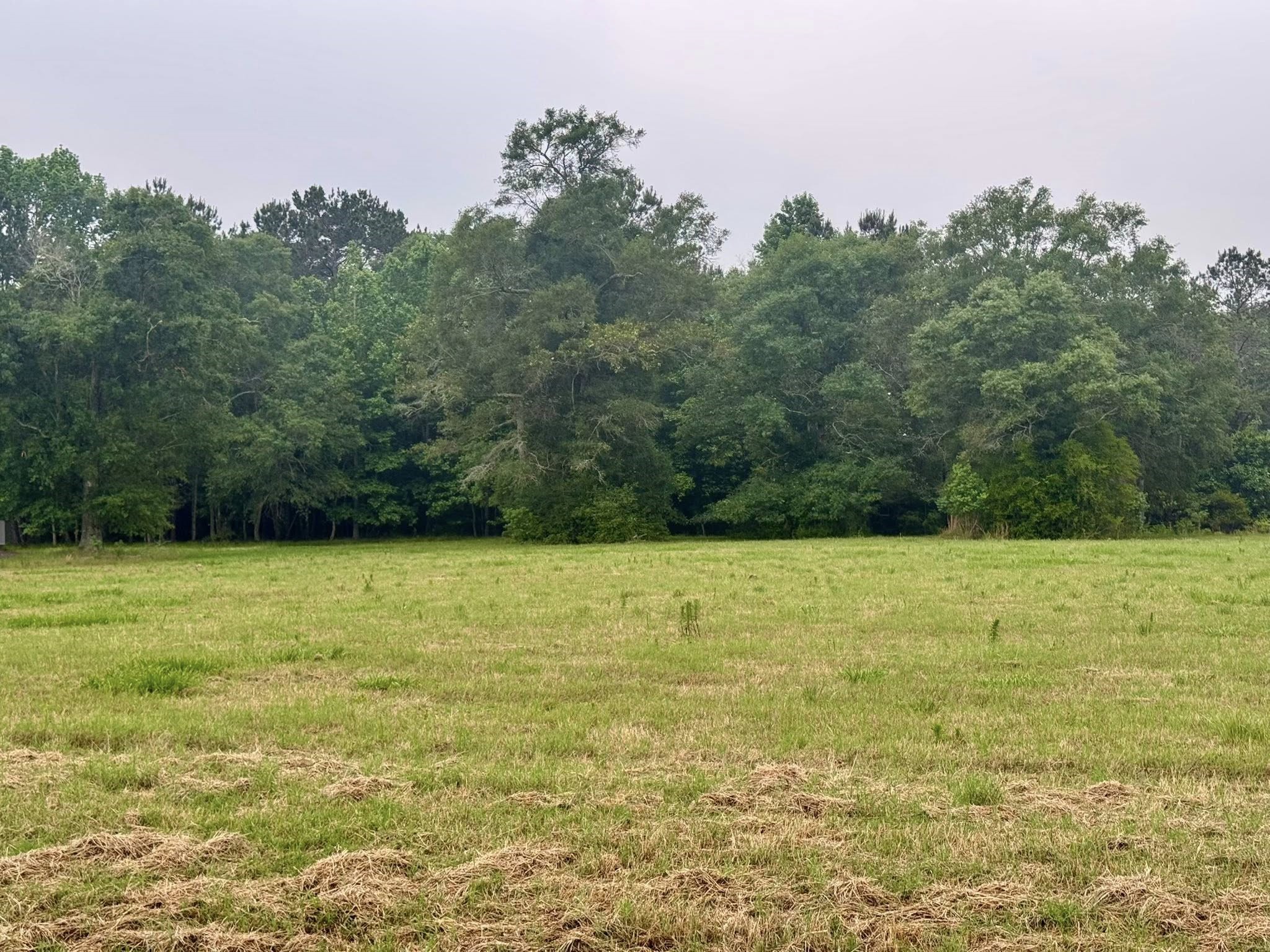 Lot 131 S Green Valley Trail Property Photo 7