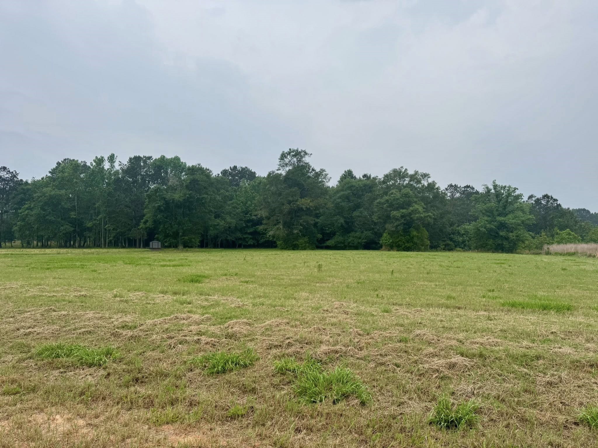 Lot 131 S Green Valley Trail Property Photo 9