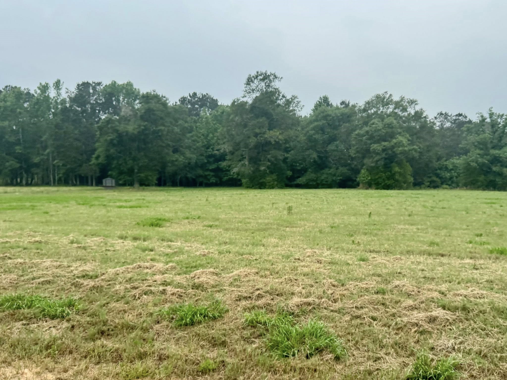 Lot 131 S Green Valley Trail Property Photo 10