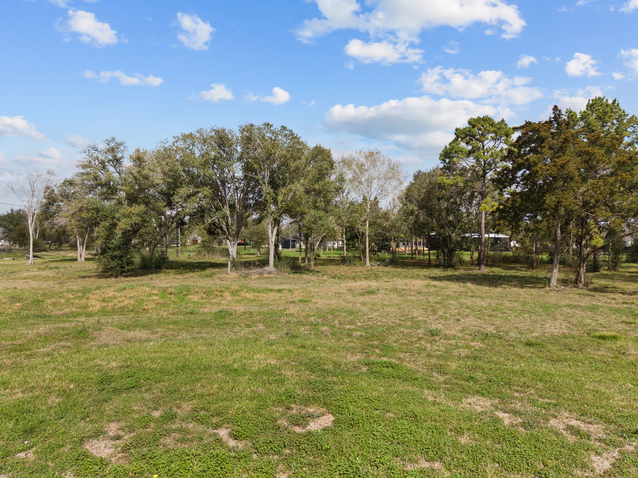 2603 Whispering Pine Drive Property Photo 4
