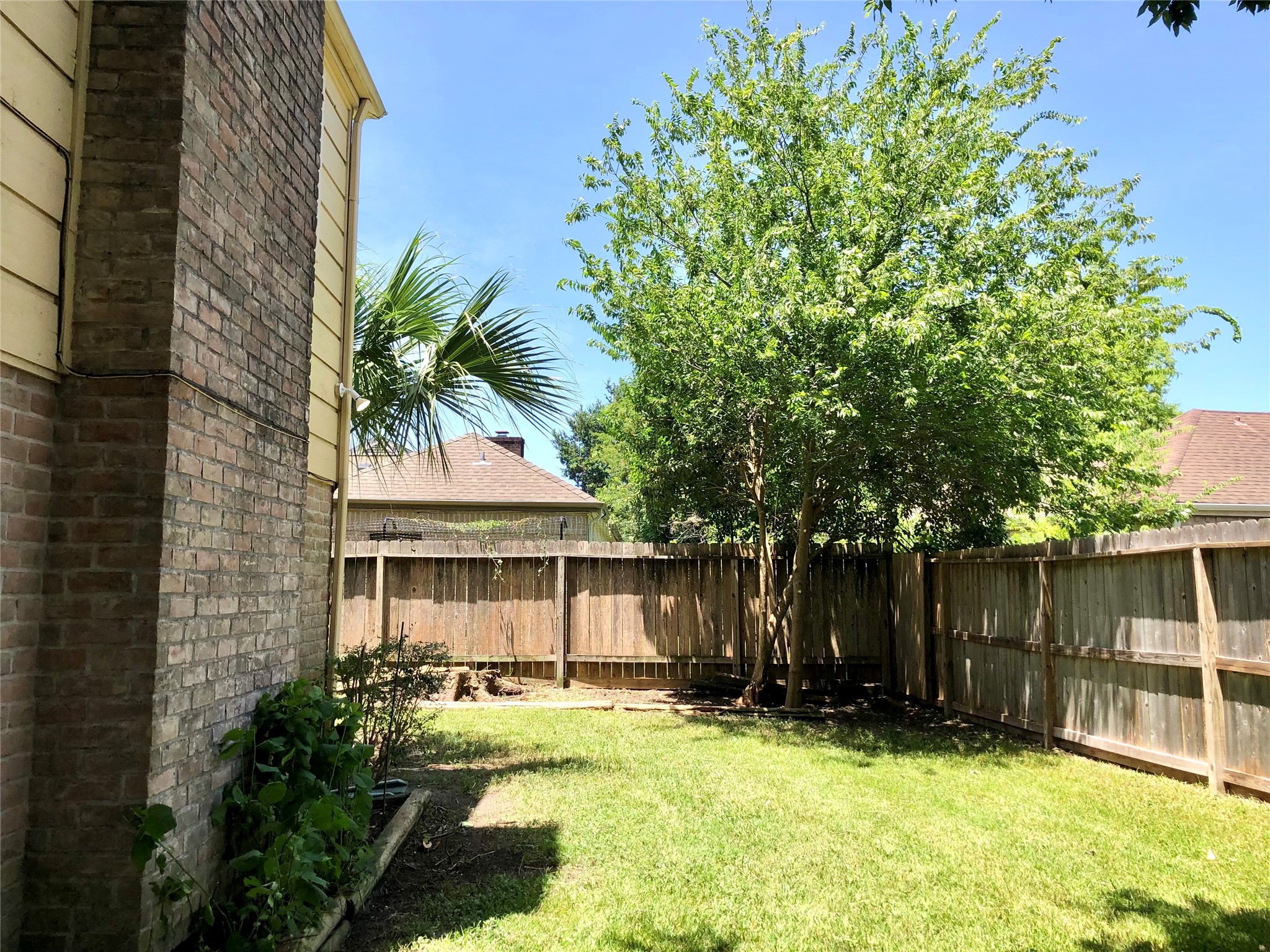 11614 Cedar Creek Drive Property Photo 36