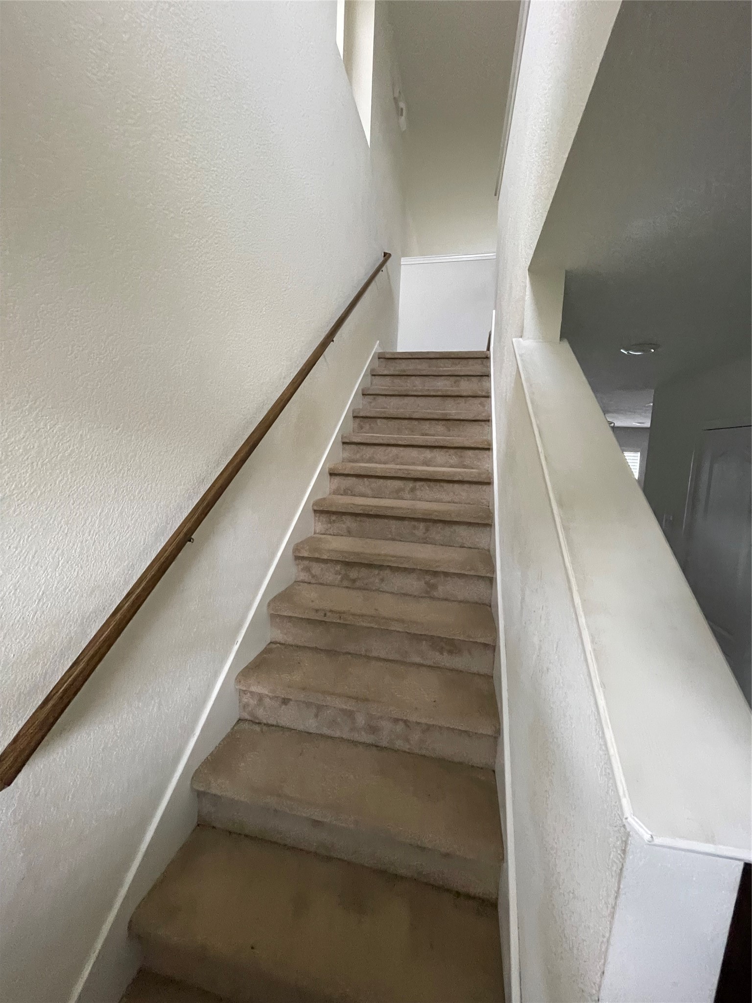 15827 Copper Oak Lane Property Photo 18