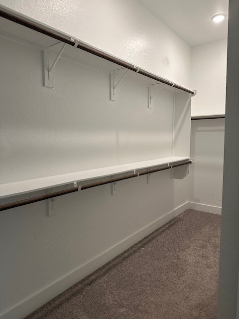 28138 White Meadow Property Photo 26