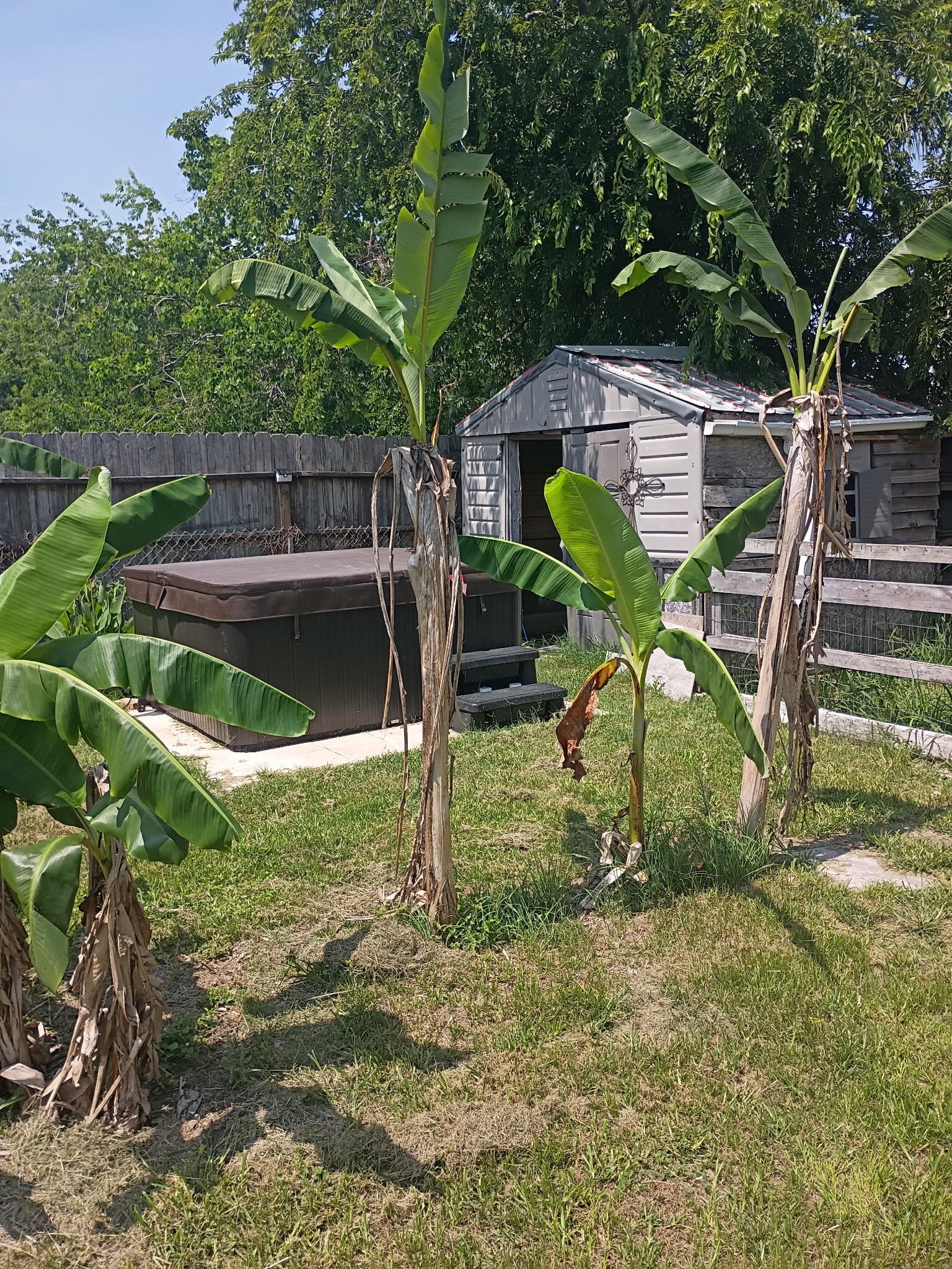 2825 N Sonny Lane Property Photo 12