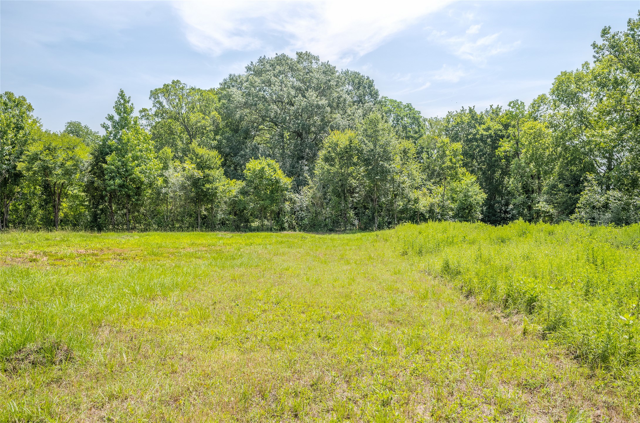 1205 Ada Street Property Photo 4