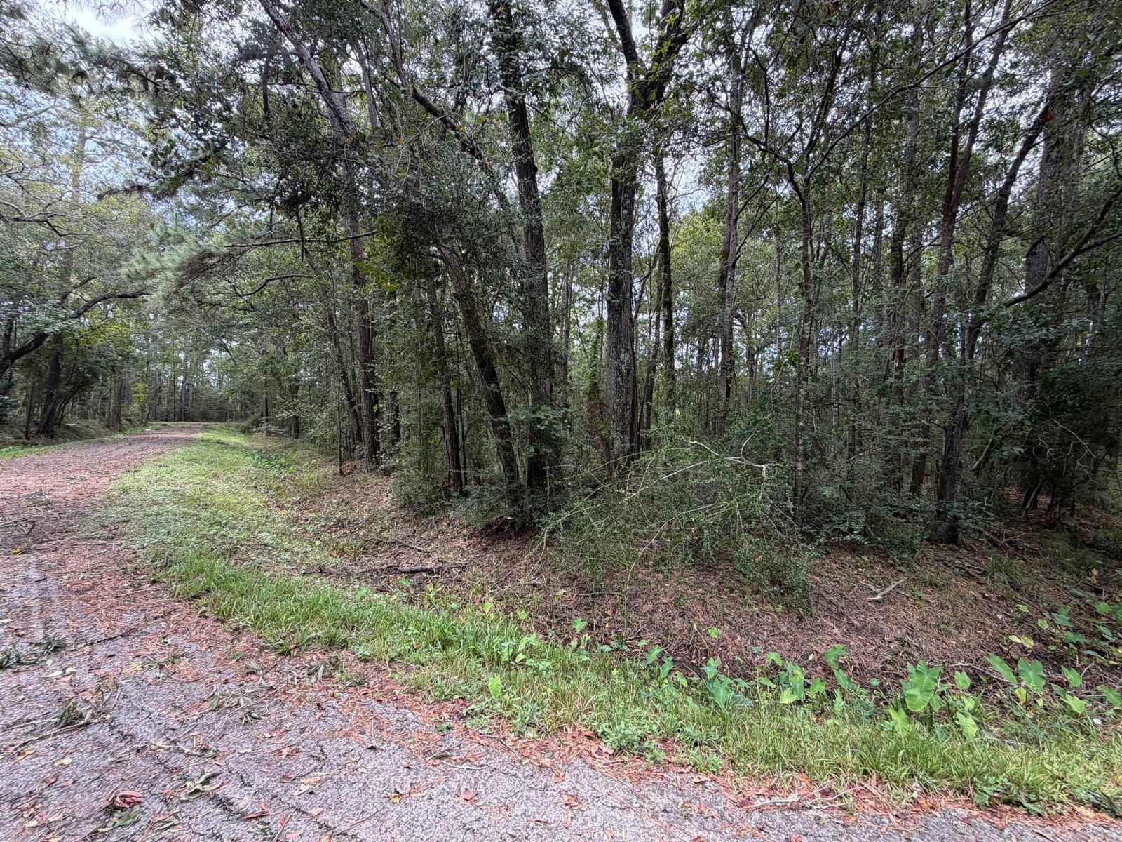 0 Rollins Drive Property Photo 3