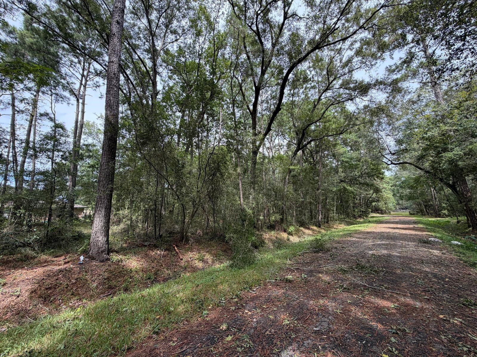0 Rollins Drive Property Photo 4