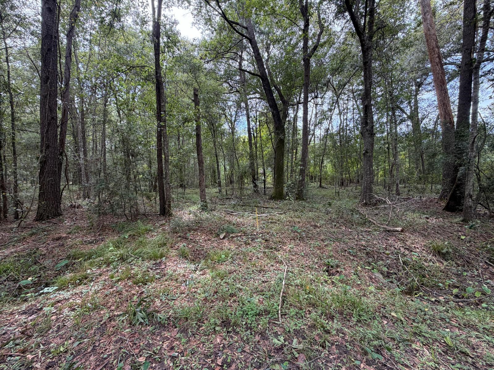 0 Rollins Drive Property Photo 5