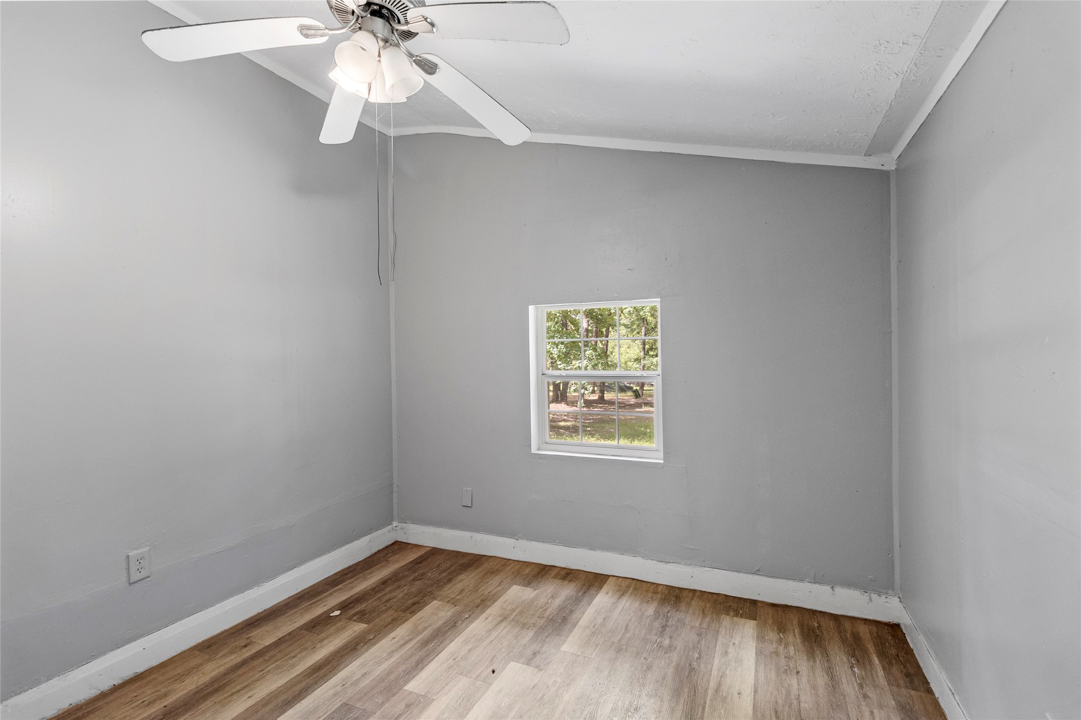 8 Jackson Road Property Photo 15