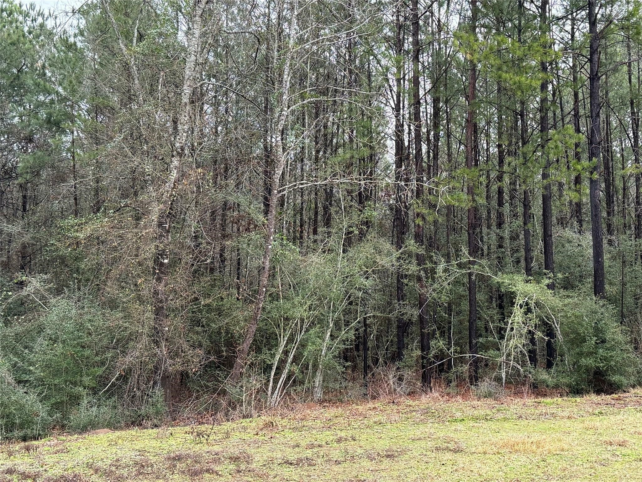 11-24-77 Tranquil Lane Property Photo 22