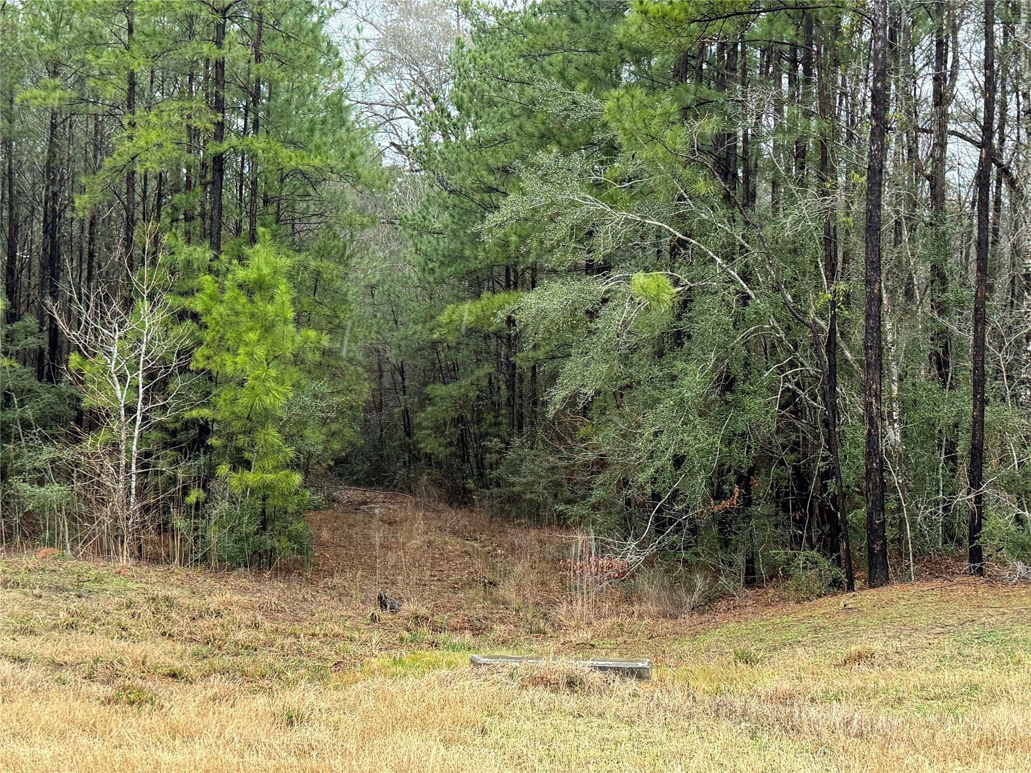 11-24-77 Tranquil Lane Property Photo 23