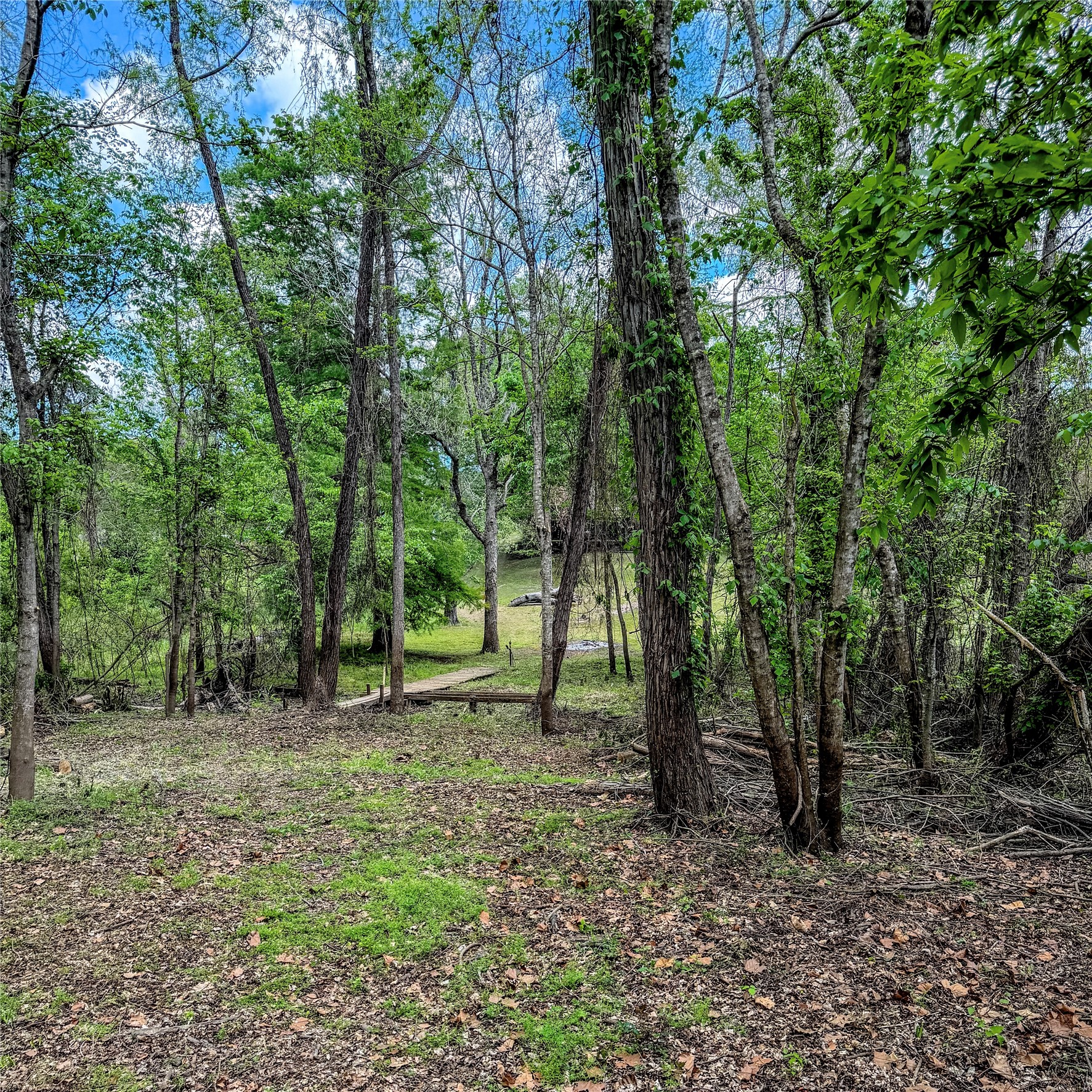 7 Lake Drive Property Photo 42