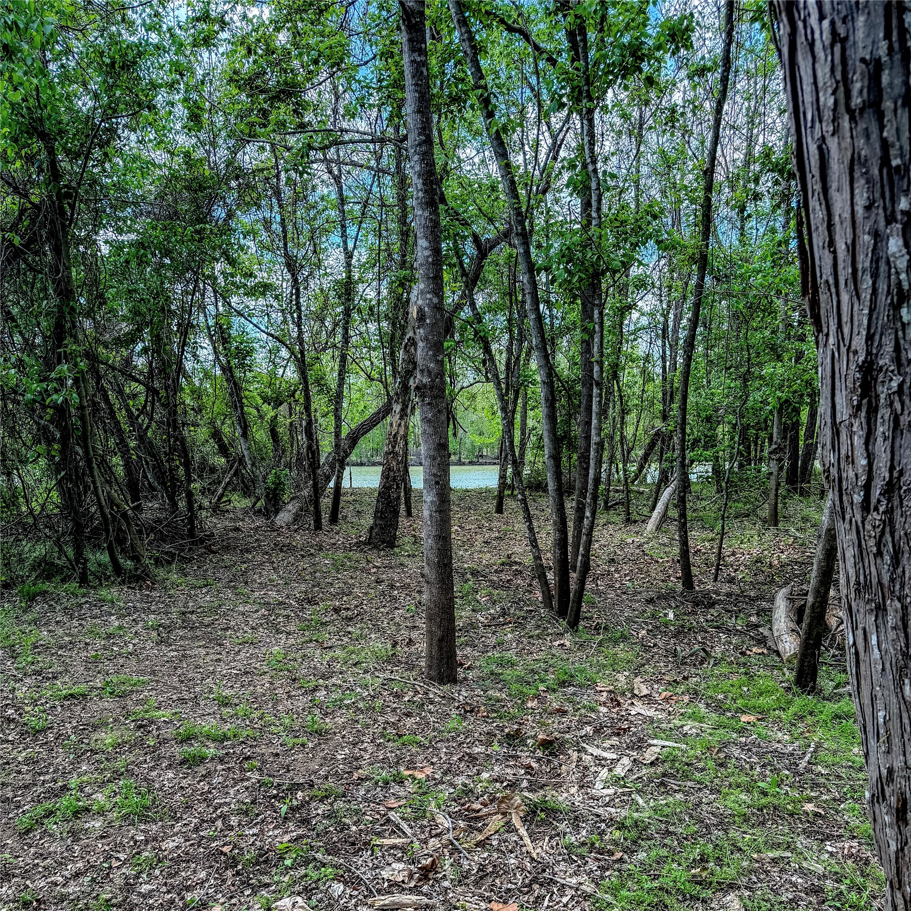 7 Lake Drive Property Photo 44