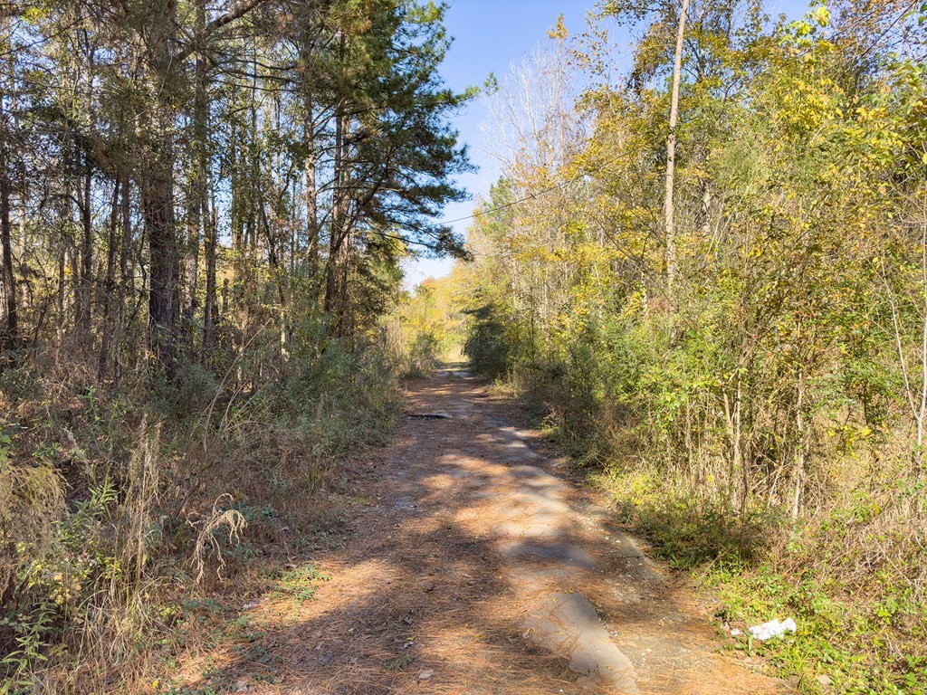 R81455 Walnut Street Property Photo 6