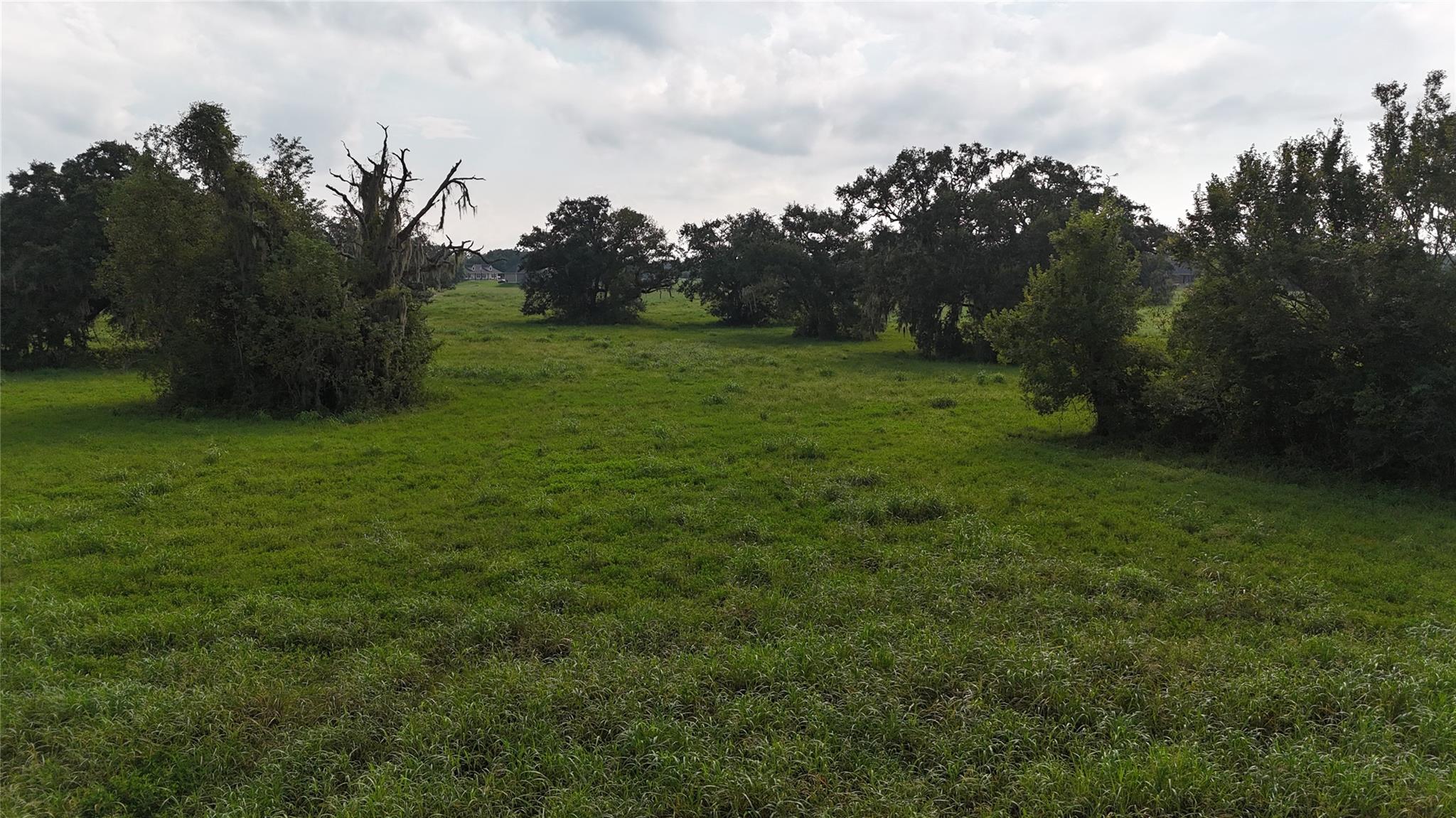 405 Pony Trail Property Photo 4