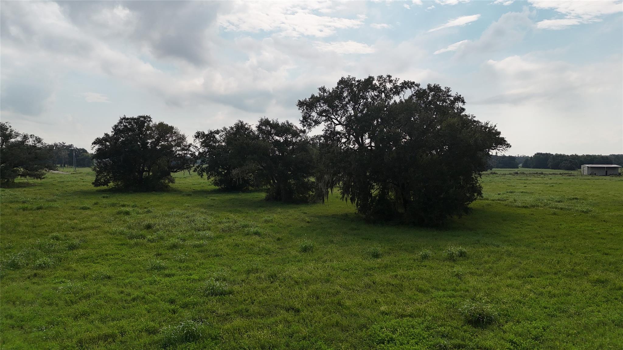 405 Pony Trail Property Photo 5