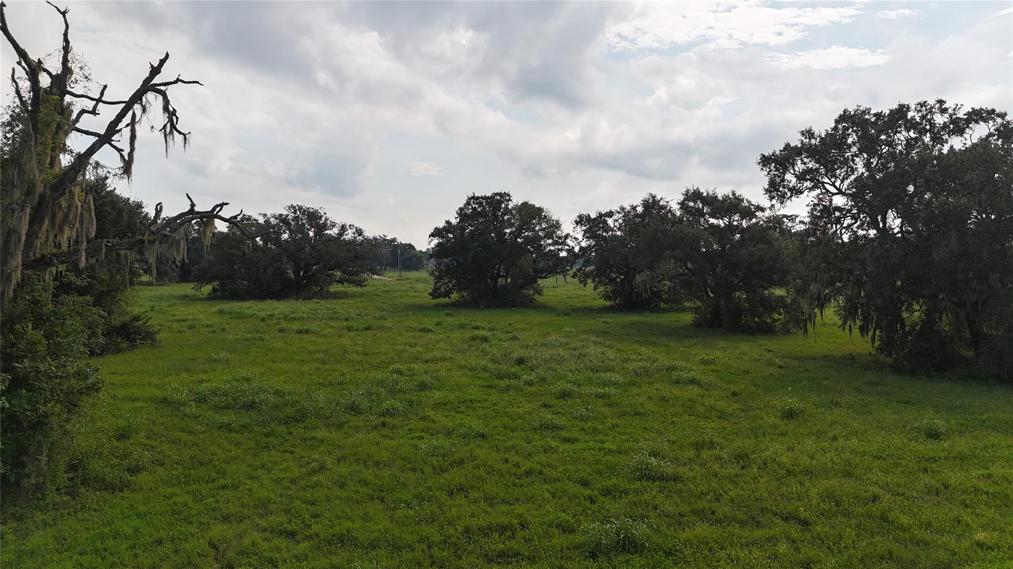 405 Pony Trail Property Photo 7