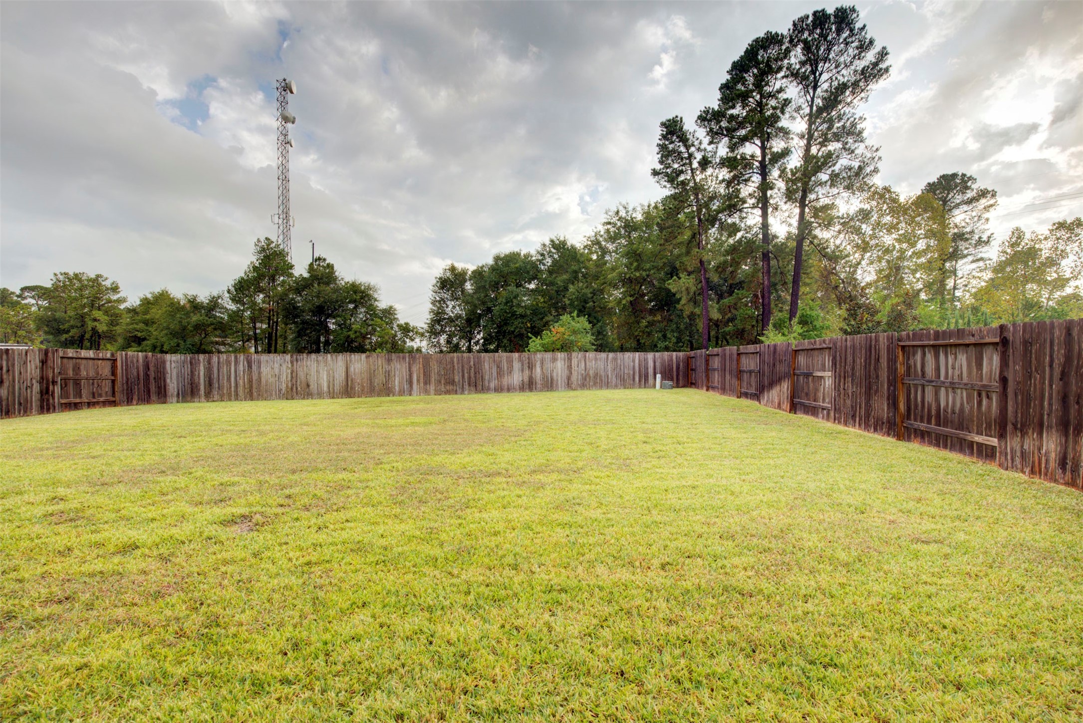 9643 Thimbleweed Drive Property Photo 46