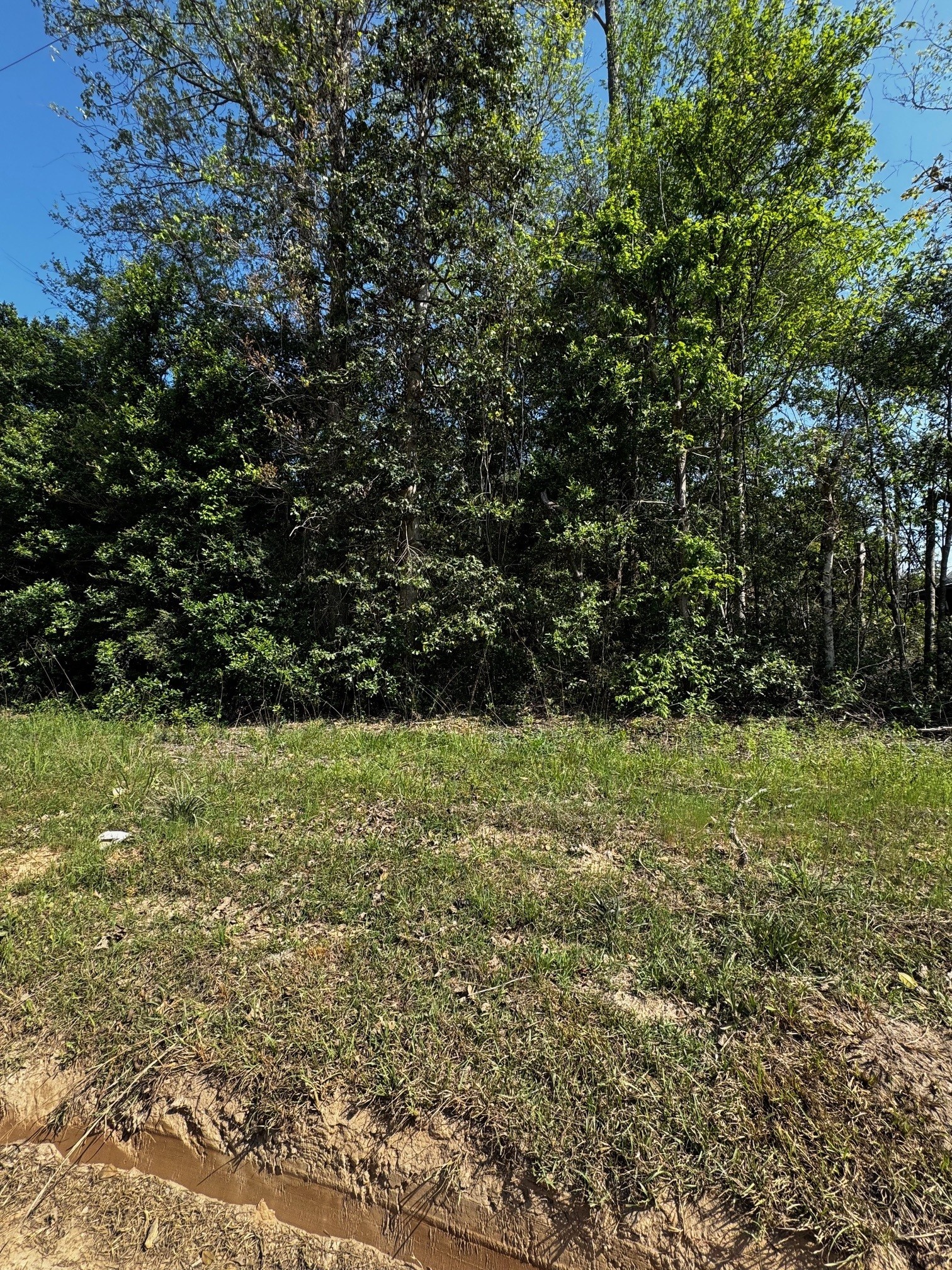 Tbd Lannie Boulevard Property Photo 2