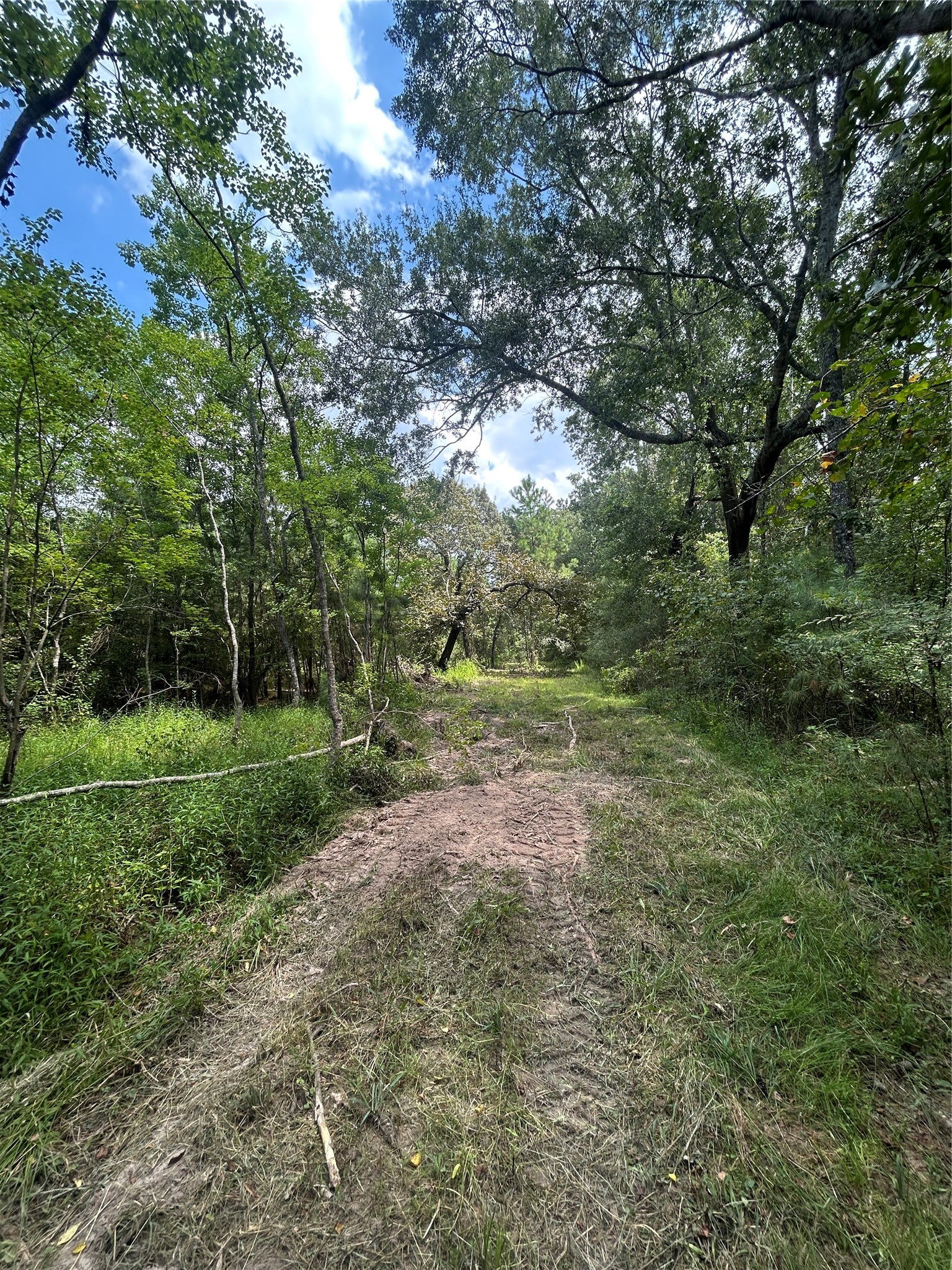 11919 Hickory Wood Property Photo 1