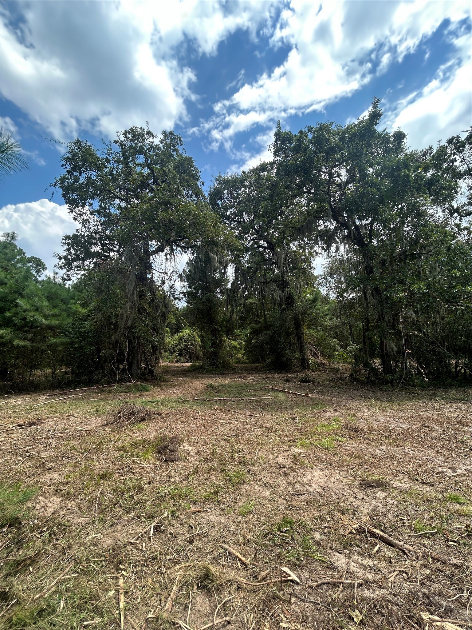 11919 Hickory Wood Property Photo 8