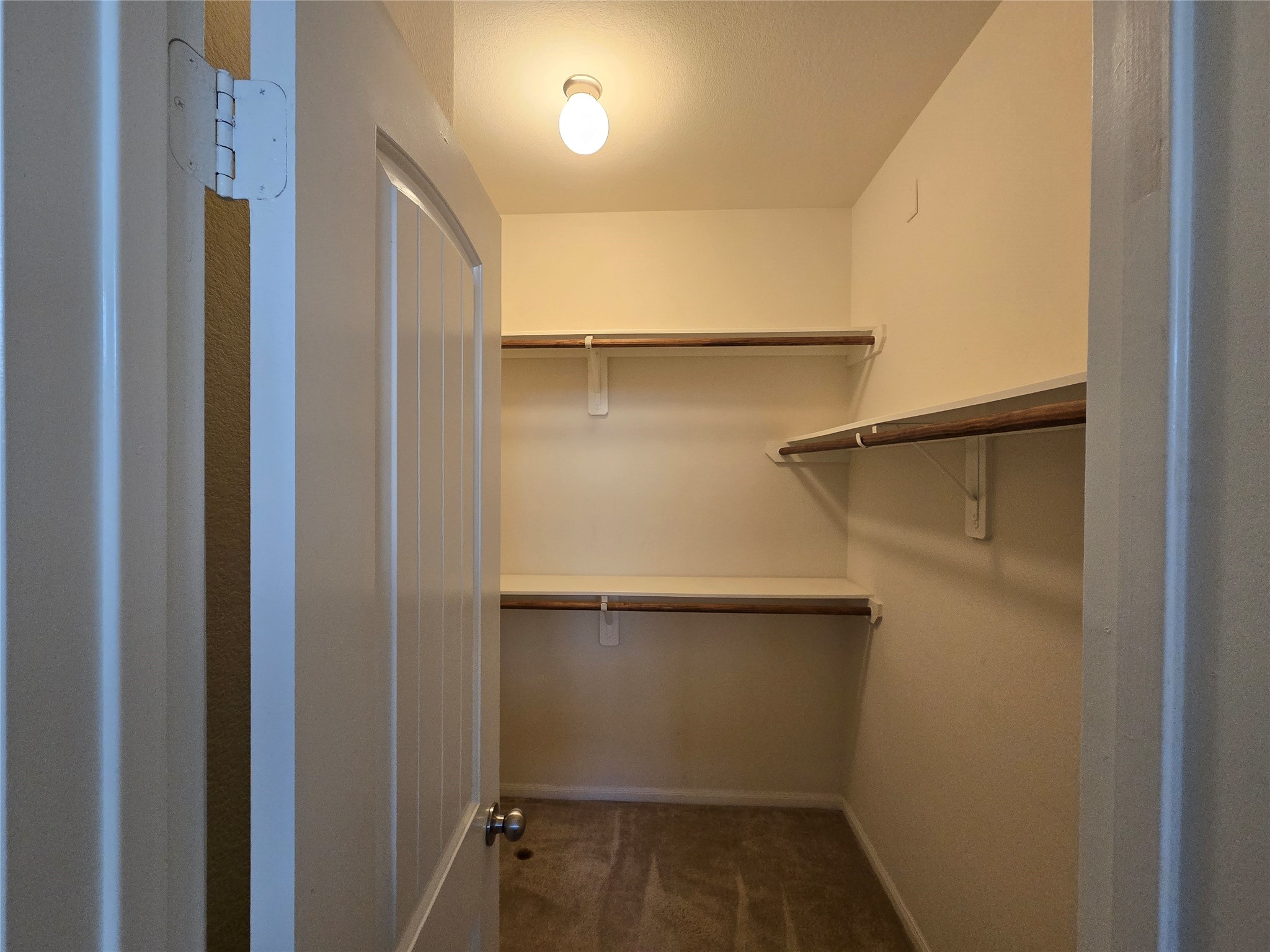 107 Piney Pathway Property Photo 14