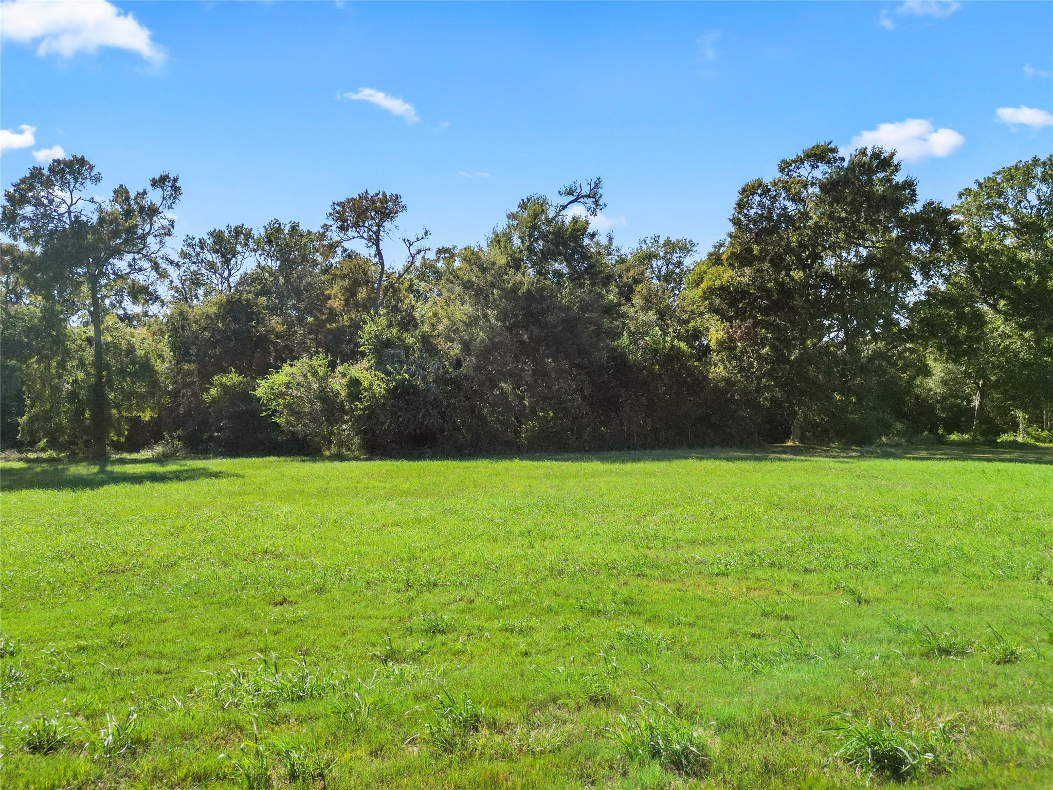 9221 Loop Road Property Photo 47