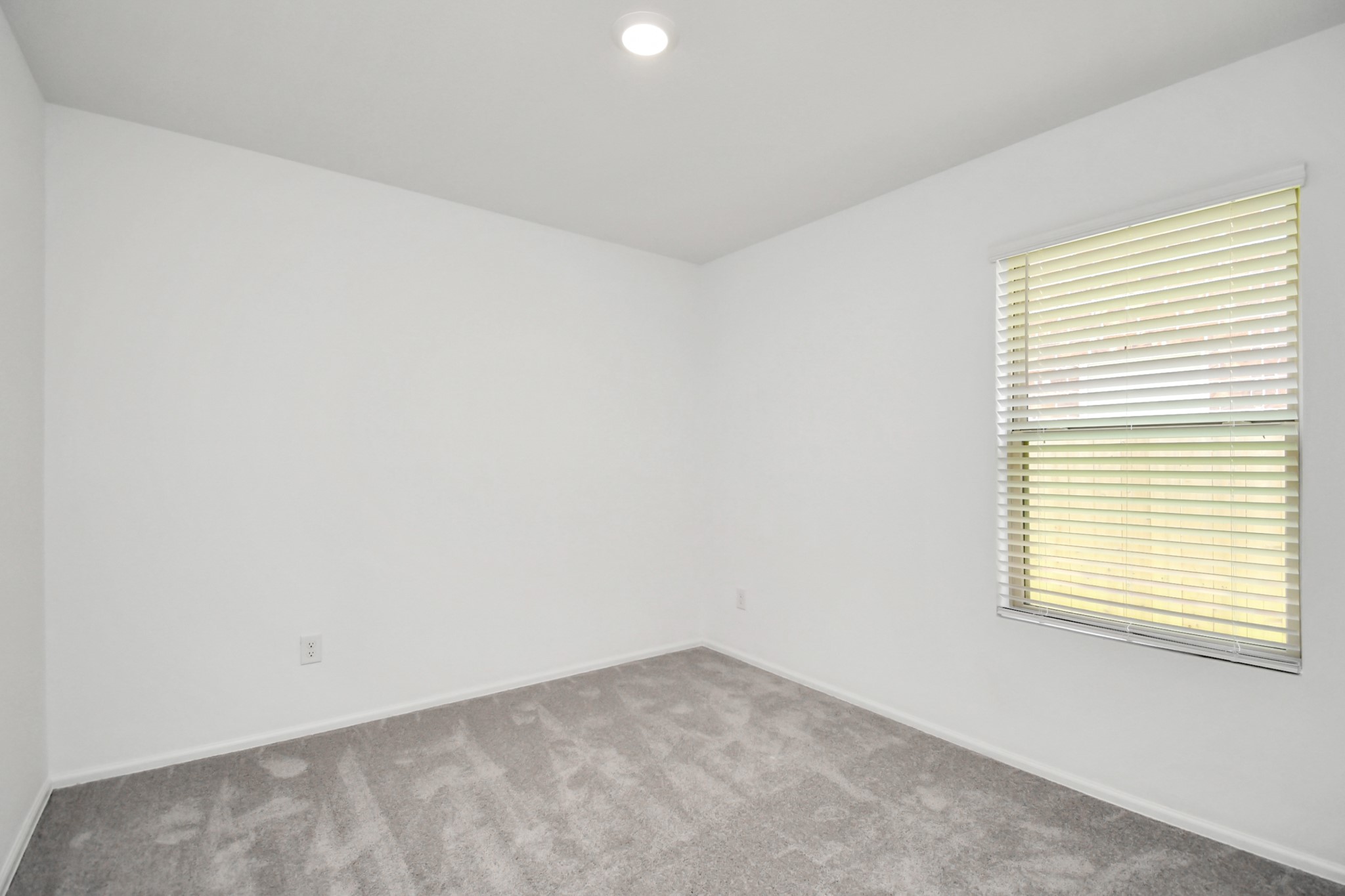 27115 River Birch Ridge Drive Property Photo 25