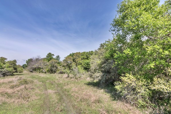 Tract 2 Farm Market 530 Property Photo 3