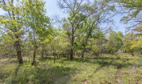 Tract 2 Farm Market 530 Property Photo 4