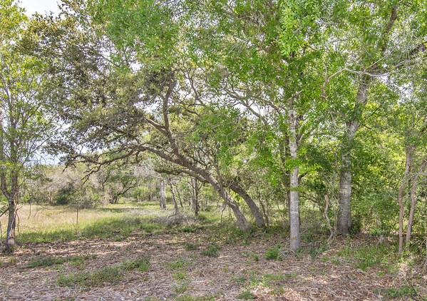 Tract 2 Farm Market 530 Property Photo 5