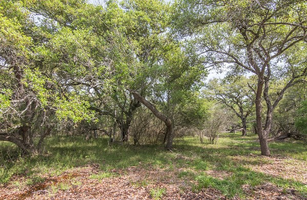 Tract 2 Farm Market 530 Property Photo 6