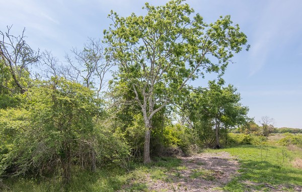 Tract 2 Farm Market 530 Property Photo 7