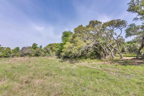 Tract 2 Farm Market 530 Property Photo 8