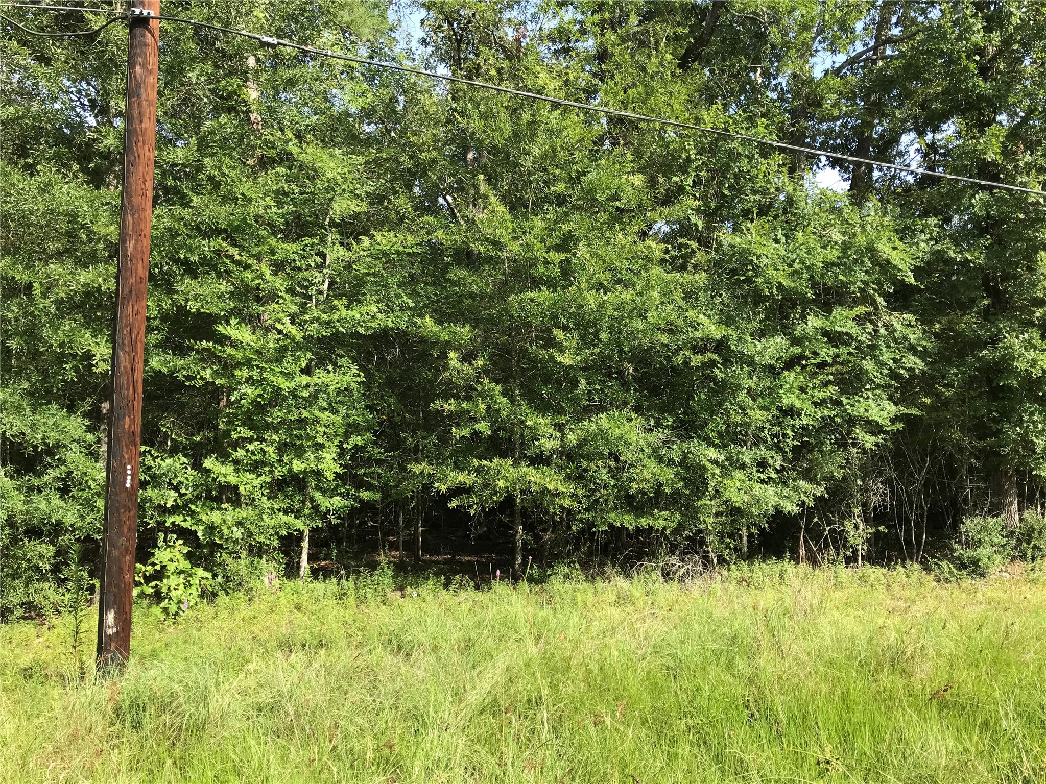 Lot 193 Elmwood Drive Property Photo 4
