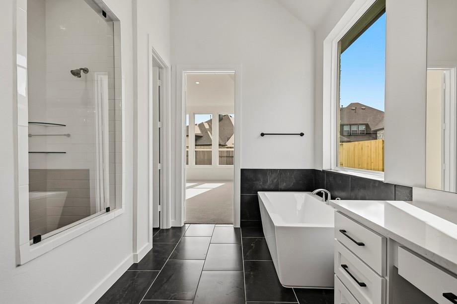 8830 Antelope Canyon Way, Manvel Tx 77578 Property Photo 12