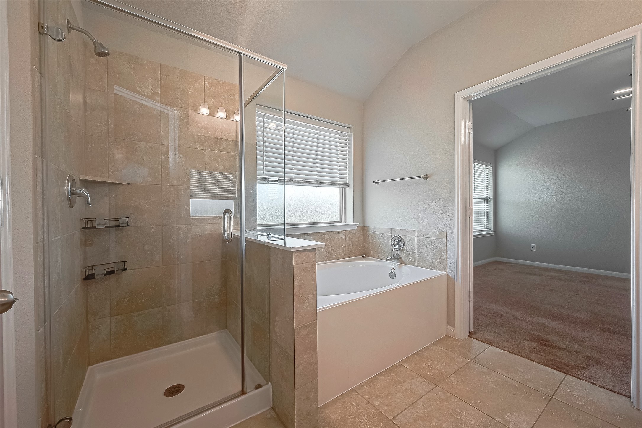 21514 Autumn Summit Street Property Photo 20