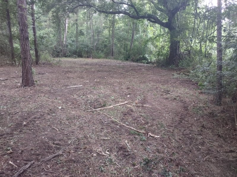 3035 Old Colony Road Property Photo 4