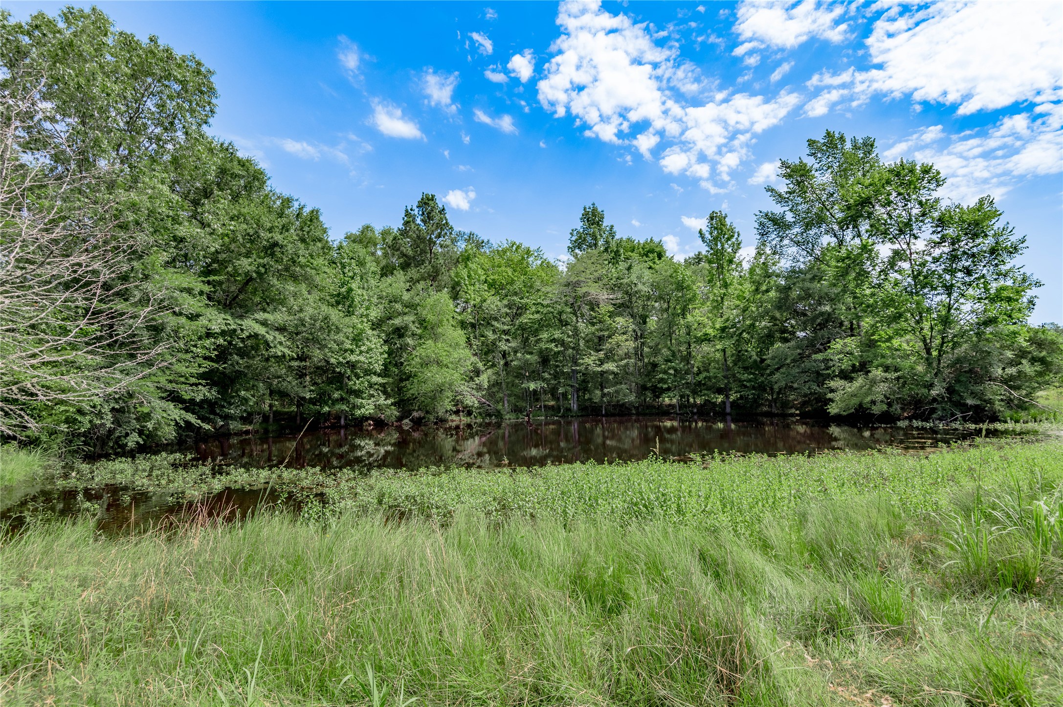 Tbd Neal Helton Road Property Photo 1