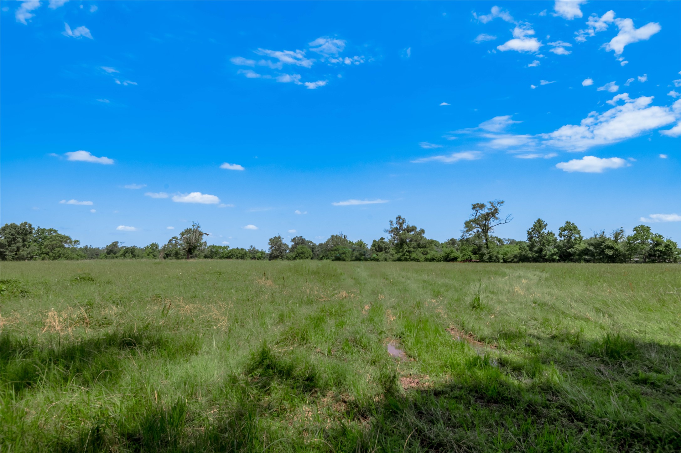 Tbd Neal Helton Road Property Photo 4