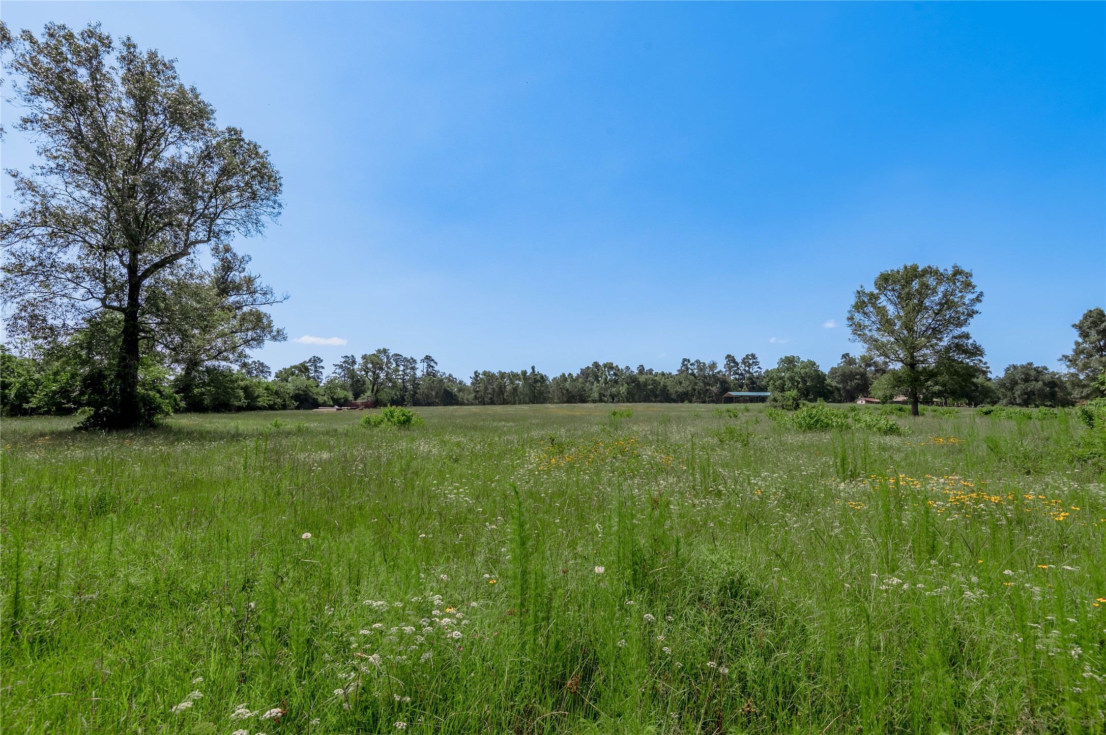 Tbd Neal Helton Road Property Photo 6