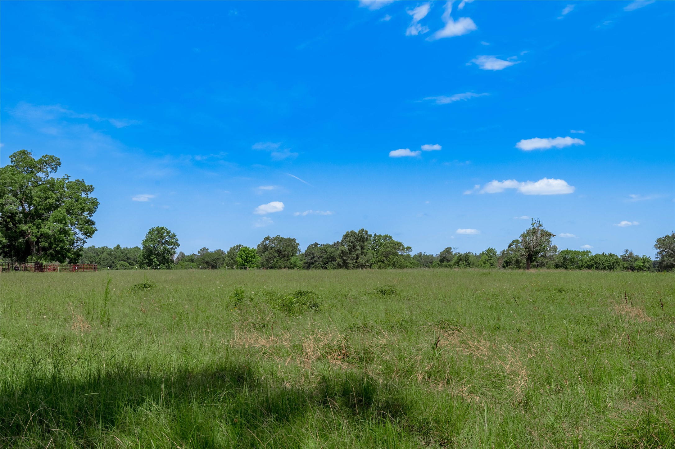 Tbd Neal Helton Road Property Photo 15