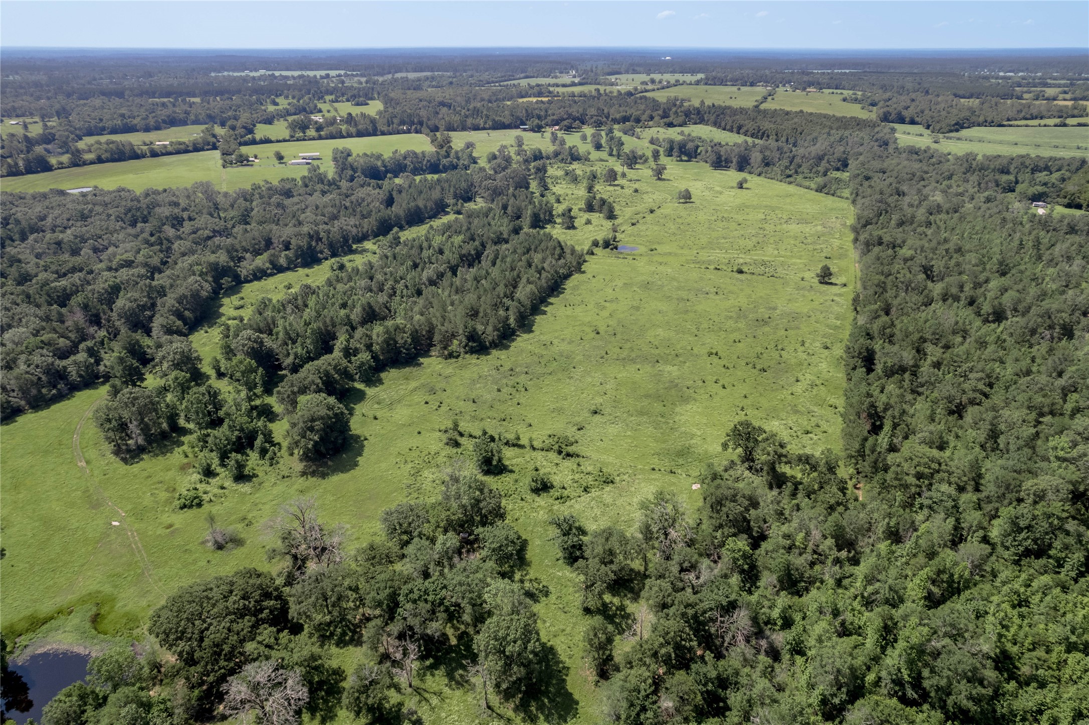 Tbd Neal Helton Road Property Photo 19