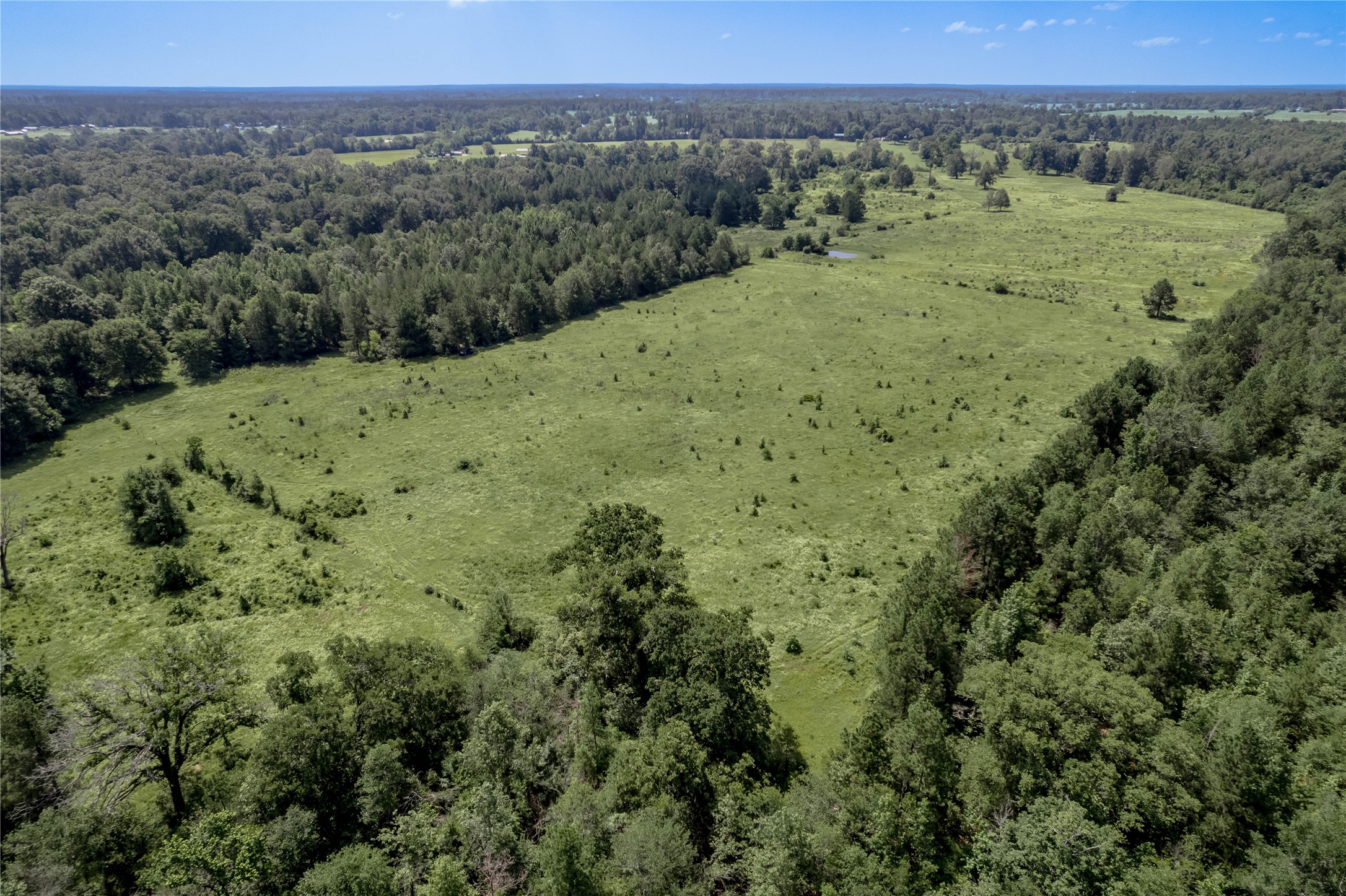 Tbd Neal Helton Road Property Photo 29