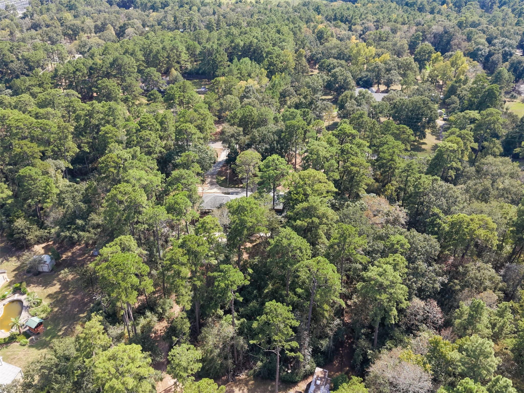 10331 Happy Trail Property Photo 34